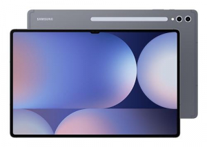 17312762670541-samsunggalaxytabs10ultra256gb371cm14612gbwifi780211begrigio