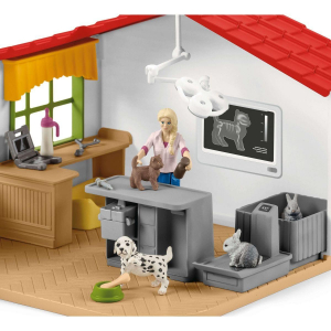 17320283588818-schleich42502setdagioco