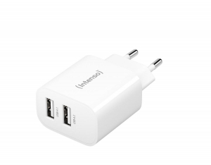 17320340015519-intensopoweradapter2xusba7802412universalebiancoacinterno