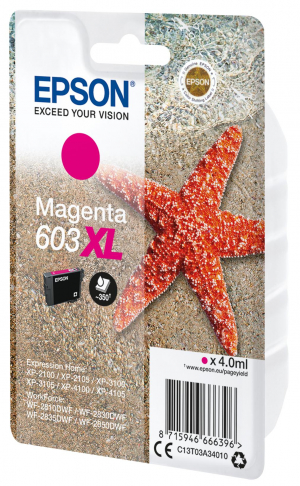 17321674981864-epsonsinglepackmagenta603xlink