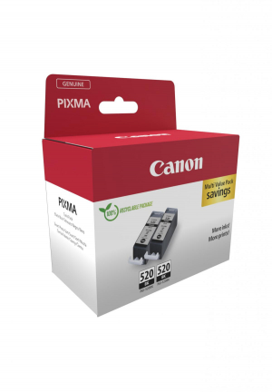 17321753288483-canon2932b019cartucciadinchiostro2pzoriginalenero