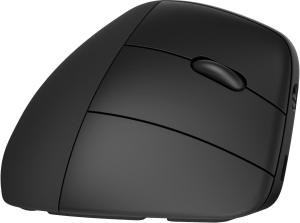 17321791827556-hpmousewirelessergonomico920