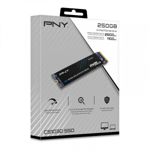 17321870670254-pnycs1030m2nvme250gbpciexpress30