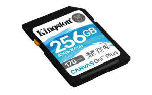 17321903854532-kingstontechnologyschedasdxccanvasgoplus170rc10uhsiu3v30da256gb