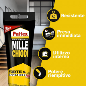 1732212807152-pattexmillechiodiforterapido250g