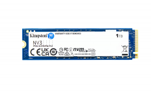 17322152325738-kingstontechnology1000gnv3m22280nvmessd