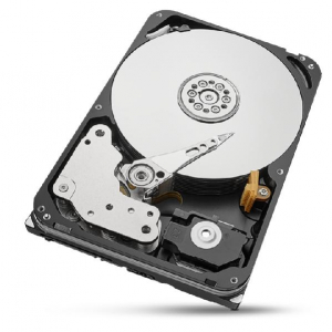 17322776766993-seagateironwolfprost20000nt001discorigidointerno20tb7200girimin256mb35