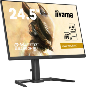 17322823163842-iiyamagmastergb2590hsub5monitorpc622cm2451920x1080pixelfullhdlcdnero