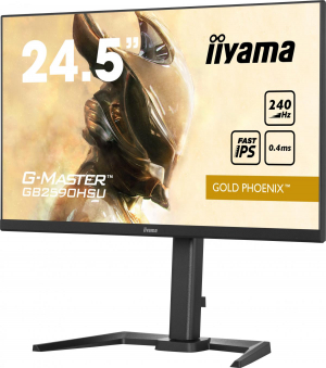 17322823204304-iiyamagmastergb2590hsub5monitorpc622cm2451920x1080pixelfullhdlcdnero