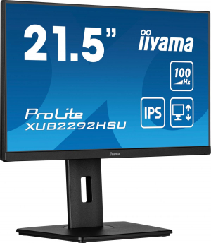 17322926346068-iiyamaprolitexub2292hsub6monitorpc559cm221920x1080pixelfullhdlednero