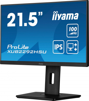 17322926378479-iiyamaprolitexub2292hsub6monitorpc559cm221920x1080pixelfullhdlednero