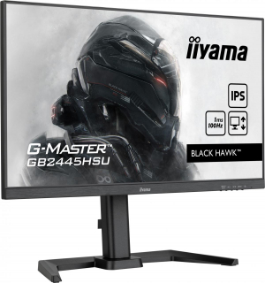 17322926481316-iiyamagmastergb2445hsub1monitorpc61cm241920x1080pixelfullhdlednero