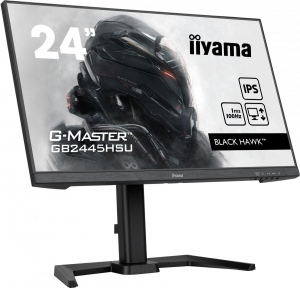 17322926508572-iiyamagmastergb2445hsub1monitorpc61cm241920x1080pixelfullhdlednero