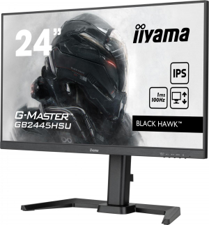 17322926536391-iiyamagmastergb2445hsub1monitorpc61cm241920x1080pixelfullhdlednero