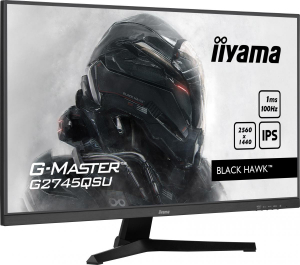 17322987395665-iiyamagmasterg2745qsub1monitorpc686cm272560x1440pixeldualwqhdlednero