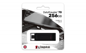 17323884367346-kingstontechnologydatatraveler256gbusbc32gen170