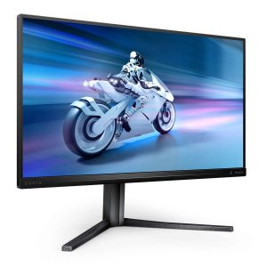 17324291622431-philipsevnia500025m2n5200p00monitorpc622cm2451920x1080pixelfullhdlcdgrigio