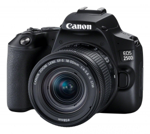 17389267753992-canoneos250defs1855mmf456isstmkitfotocamereslr241mpcmos6000x4000pixelnero