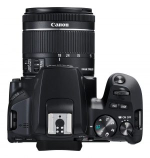 1738926785097-canoneos250defs1855mmf456isstmkitfotocamereslr241mpcmos6000x4000pixelnero