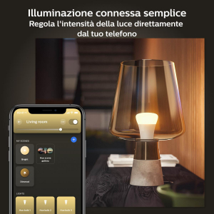 17400216848069-philipshuewhite2lampadinesmarte2760w