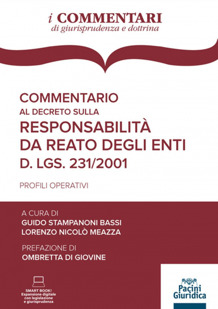 16552182875758-commentarioaldecretosullaresponsabilitadareatodeglientidlgs2312001profilioperativiconespansioneonline