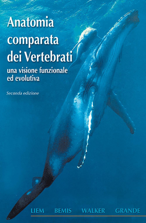 16555908962119-libroanatomiacomparatadeivertebratiunavisionefunzionaleedevolutivaeditoreedisesanno2011