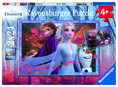 17134890373888-2puzzleda24pezzifrozen2