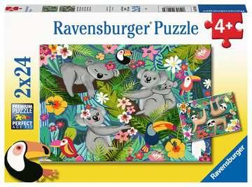 1717891550631-ravensburgerkoalaebradipi