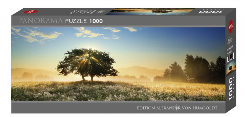 17178988861921-heyepuzzleplayoflight1000pzlandscape