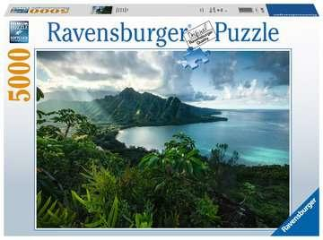 171796610817-ravensburger16106puzzlepuzzledicontorno5000pzflora