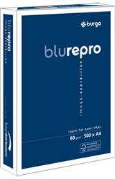 17181285180411-burgoreproblua3cartainkjet