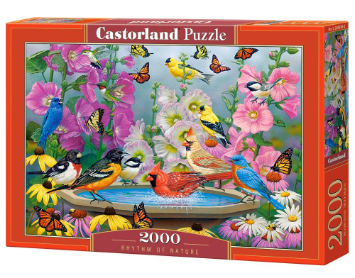 17226342167862-castorlandc2008182puzzle2000pzanimali