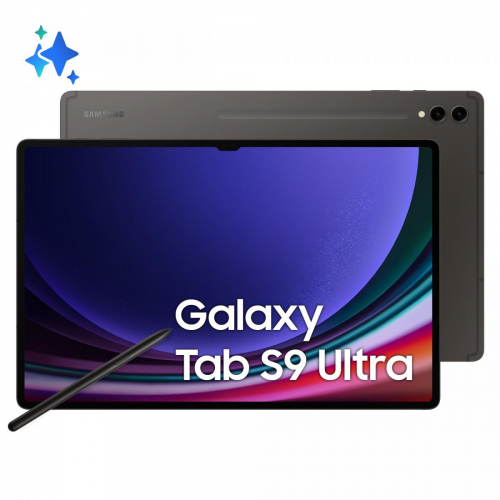 1724565405871-samsunggalaxytabs9ultratabletaiandroid146pollicidynamicamoled2xwifiram12gb256gbtabletandroid13graphite