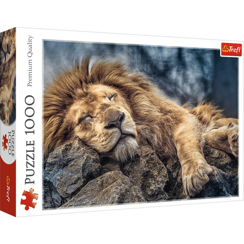 17262417654972-trefl10447puzzle1000pz