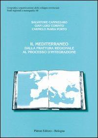 1727792122596-libroilmediterraneodallafratturaregionalealprocessodintegrazioneeditorepatronanno2010