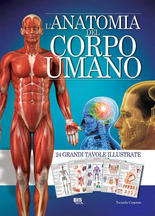 17277924012348-librolanatomiadelcorpoumanoeditorebisanno2015