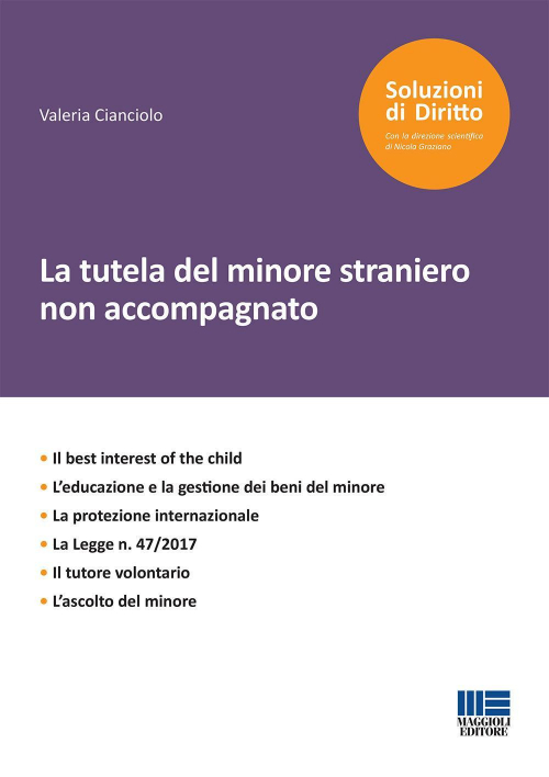 17277942197243-librolatuteladelminorestranierononaccompagnatoeditoremaggiolieditoreanno2019