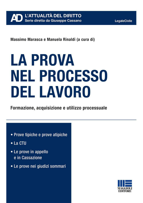 1727794411324-librolaprovanelprocessodellavoroeditoremaggiolieditoreanno2021