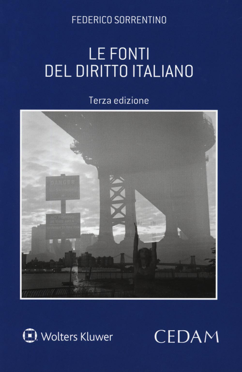 17277962705777-librolefontideldirittoitalianoeditorecedamanno2018