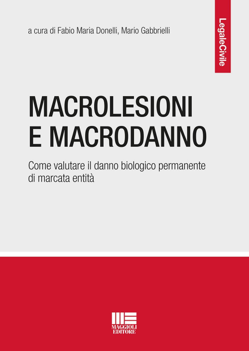 17277973091491-libromacrolesioniemacrodannoeditoremaggiolieditoreanno2020