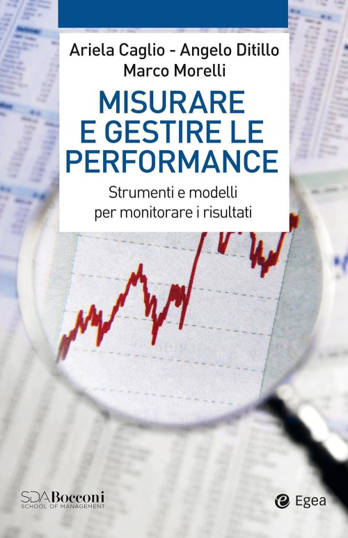 17277988031956-libromisurareegestireleperformancestrumentiemodellipermonitorareirisultatieditoreegeaanno2020