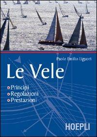 17278029366357-libroleveleprincipiregolazioniprestazionieditorehoeplianno2002