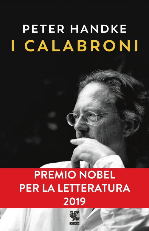 17278071074037-libroicalabronieditoreguandaanno2019