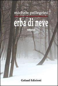 17278092231855-libroerbadineveeditoregalaadedizionianno2012