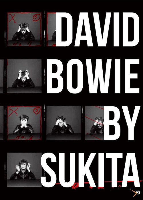 17278179936665-librodavidbowieedizillustrataeditorelullabitanno2019