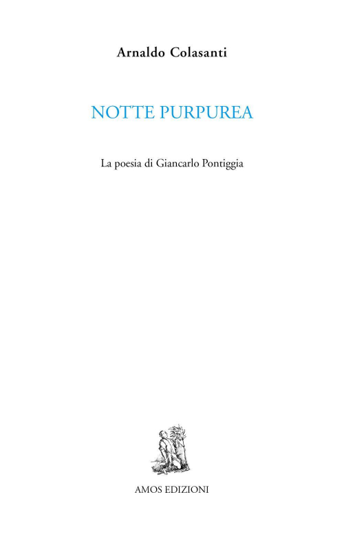 17278183721942-libronottepurpurealapoesiadigiancarlopontiggiaeditoreamosedizionianno2020