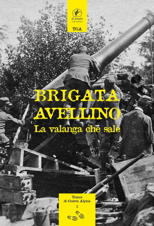 17278206197786-librobrigataavellinolavalangachesaleristanastatica1938editoreilpratoanno2017