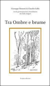 17278354183868-librotraombreebrumeeditorescriptatrentoanno2013