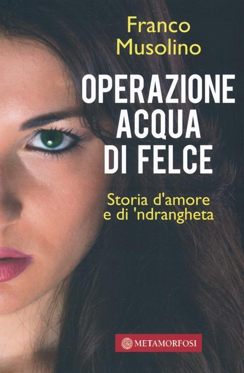 17278363222725-librooperazioneacquadifelcestoriadamoreedindranghetaeditoremetamorfosianno2013