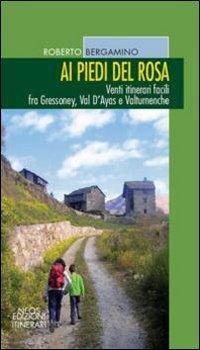 17278370438568-libroaipiedidelrosaventiitinerarifacilifragressoneyvaldayasevaltournencheeditoreneosedizionianno2016